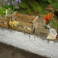 DSC00073