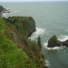 DSC00175