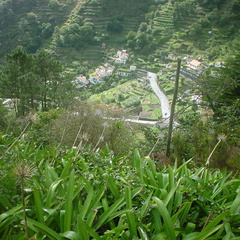 DSC00182