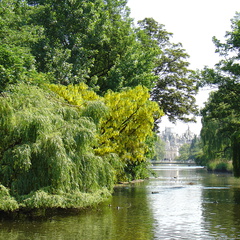 DSC00065