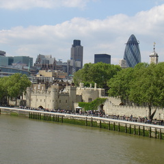 DSC00084