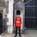 RIMG0156