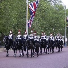 RIMG0158