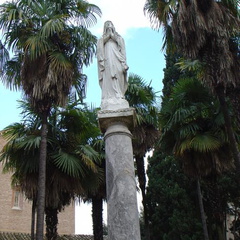DSC01007