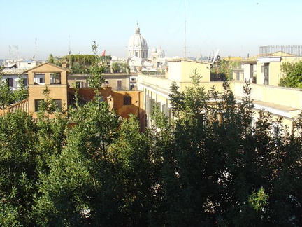 DSC01229