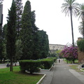 DSC01307