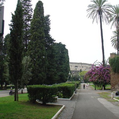 DSC01307