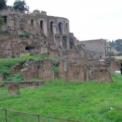 DSC01336