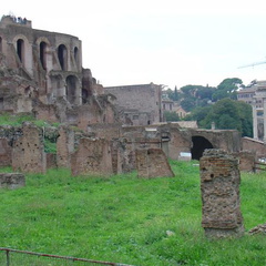 DSC01338