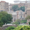 DSC01339