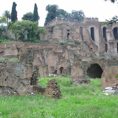 DSC01341