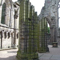 DSC00567