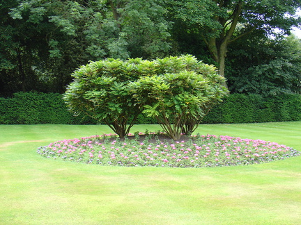 DSC00576