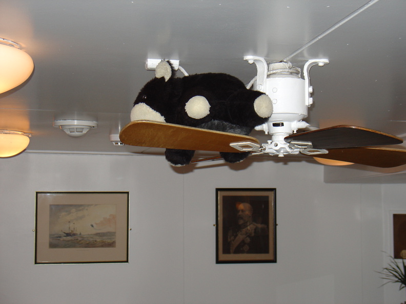 DSC00602.JPG