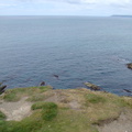 DSC00847