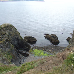 DSC00853