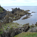 DSC00856