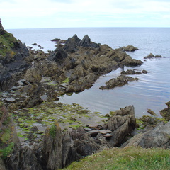 DSC00856