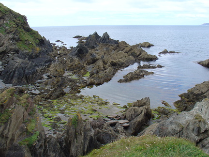 DSC00856