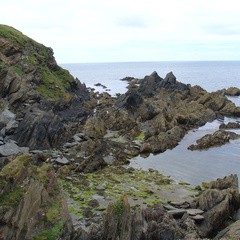 DSC00860