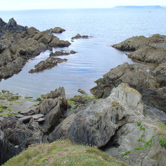 DSC00861