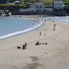 DSC00868