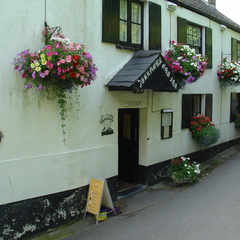 DSC00877