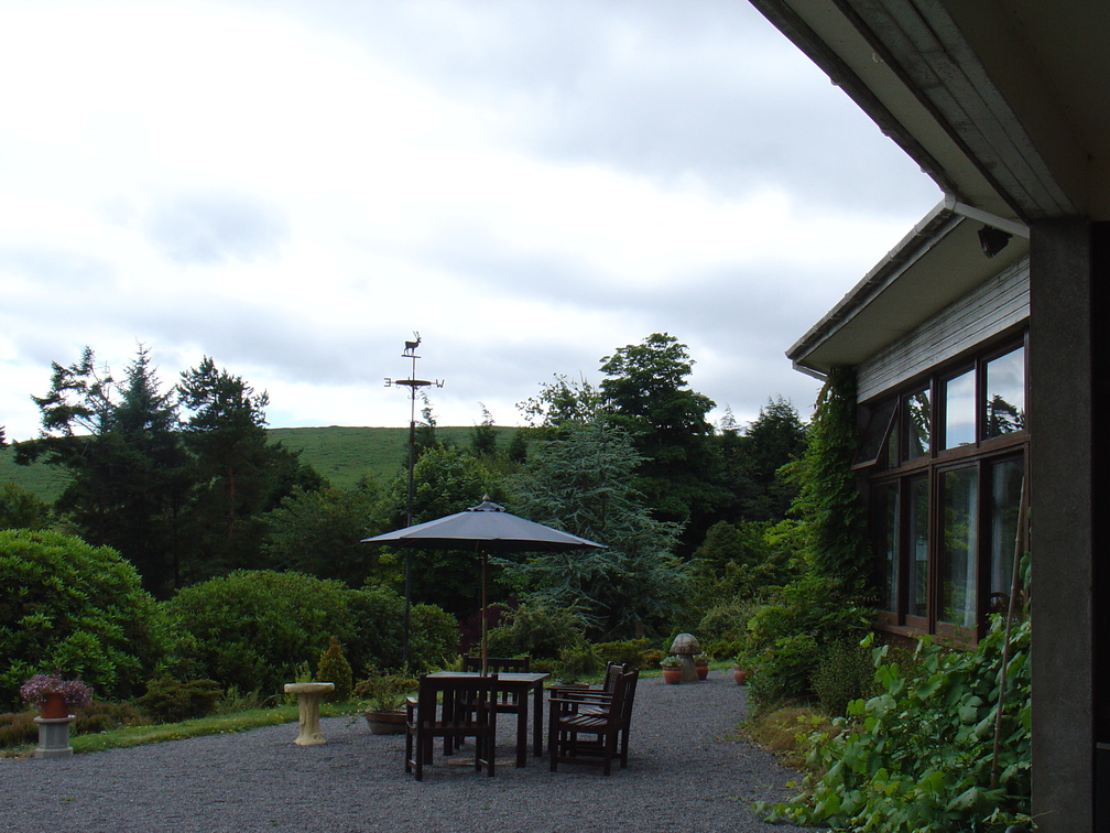 DSC00826