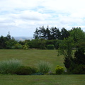 DSC00827