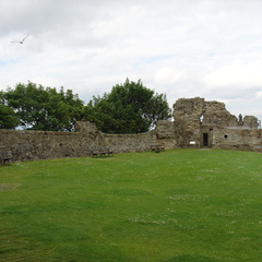 DSC00622