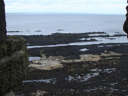 DSC00632