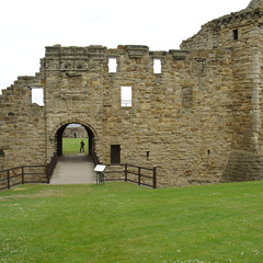DSC00633