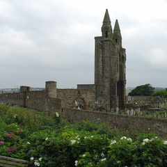 DSC00634