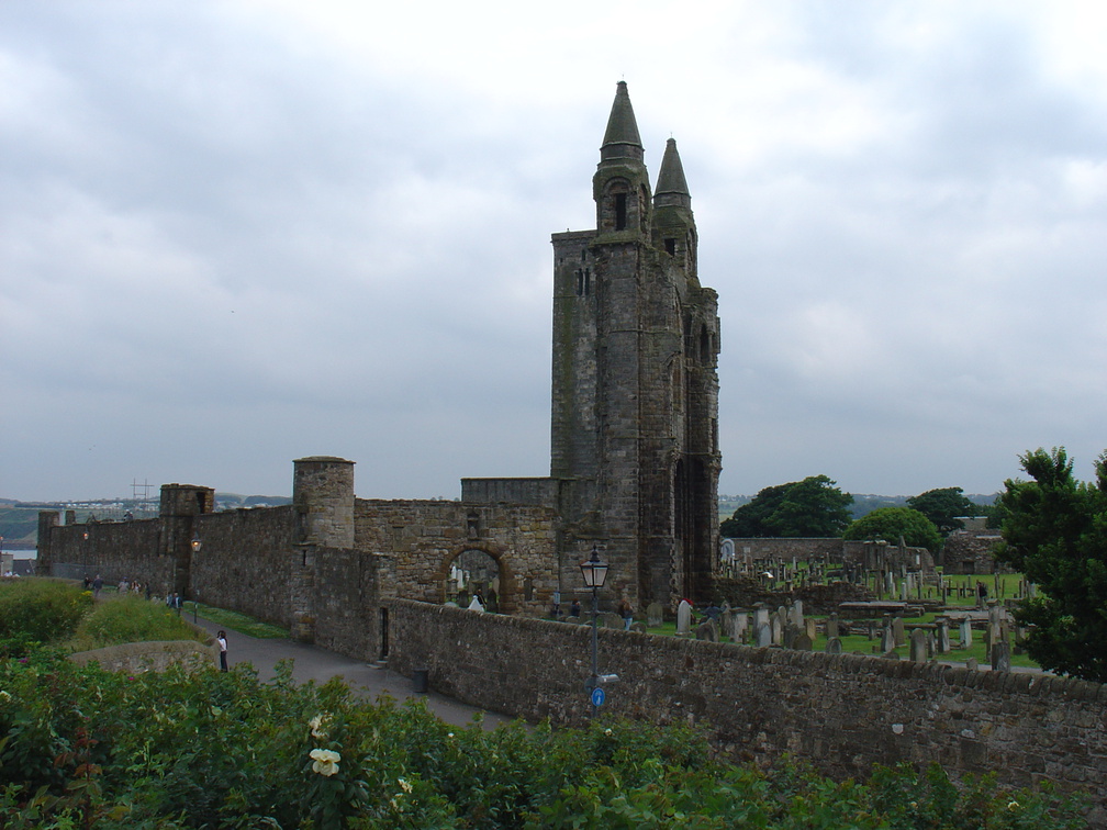 DSC00635