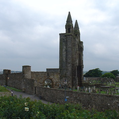 DSC00635