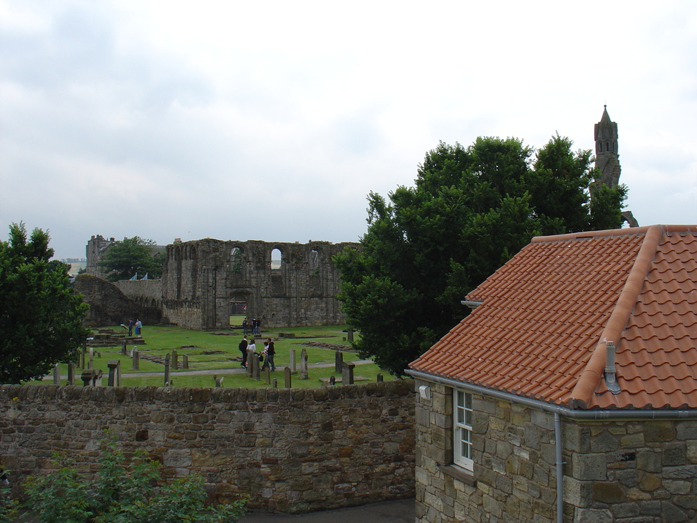 DSC00636