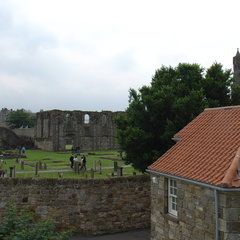 DSC00636