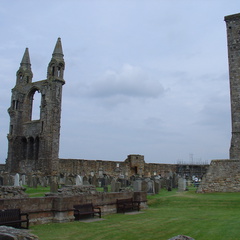 DSC00637