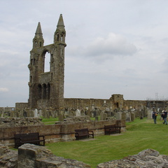 DSC00638