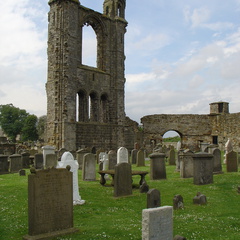 DSC00640