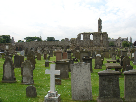 DSC00641