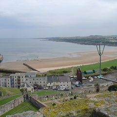 DSC00647