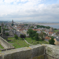 DSC00649