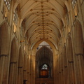 DSC00740