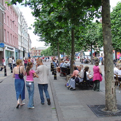 DSC00768