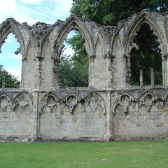 DSC00779