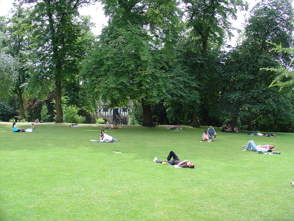 DSC00780