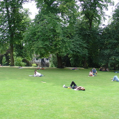 DSC00780