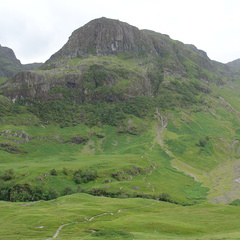 DSC00795