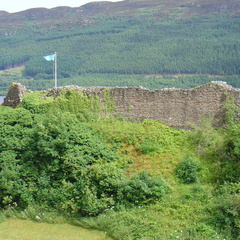 DSC00799